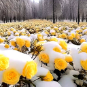 تصویر نمایه‌ی ‌مهدی کلهر‌