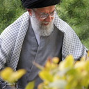 تصویر نمایه‌ی ‌Hayat Ahmadi‌