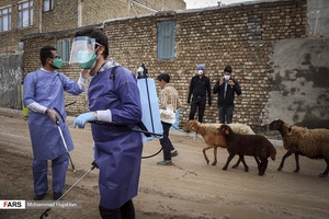 ضد عفونی روستای میامی توسط گروه جهادی شهدای مدافع حرم /مشهد