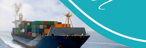 تصویر سربرگ نمایه‌ی ‌محمدرضا درودی‌