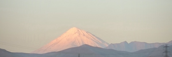 تصویر سربرگ نمایه‌ی ‌مرتضی قربانی‌