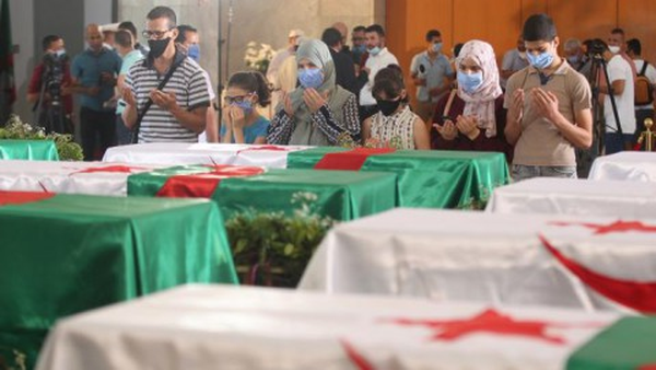 الجزائر