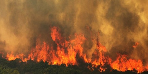 آتش‌سوزی ارتفاعات کوهمره سرخی مهار شد 