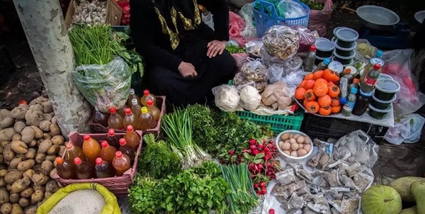 سیاسی