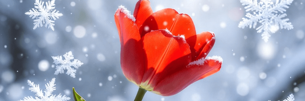 تصویر سربرگ نمایه‌ی ‌Tech‌