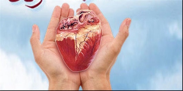 اهدای عضو