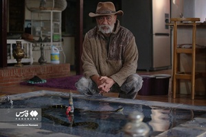 حیوانات «خانه نوری»