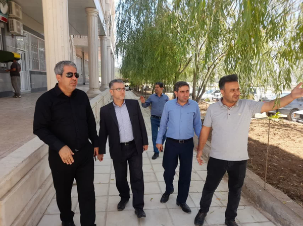 بازدید