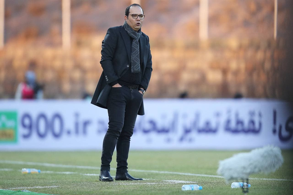 محمد ربیعی، ربیعی