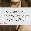 تصویر نمایه‌ی ‌حسین‌