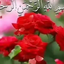 تصویر نمایه‌ی ‌سعید اسدی‌