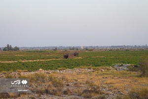 روستای زیارت سید سلیمان(ع) از توابع شهر تخت