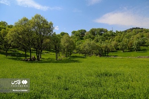 طبیعت بهاری «بازفت»