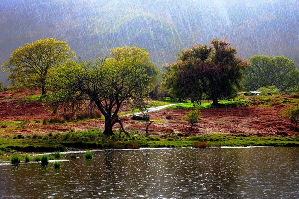 هواشناسی باران