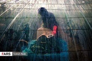 قلعه گنج در مسیر شکوفایی