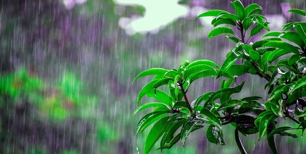 باران زنجان