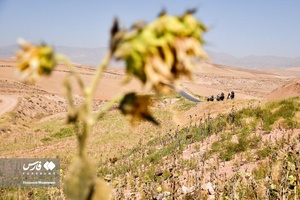 کاروان اسب‌داران حرم‌ تا حرم خراسان‌شمالی به سوی آستان رضوی رهسپار شدند