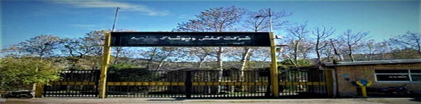 کفش گنجه رودبار