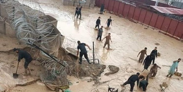 سیل