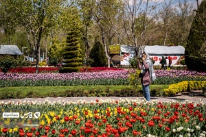 علاقمندان به گل و گیاه  در باغ گل لاله چمران مشغول گرفتن عکس یادگاری هستند.