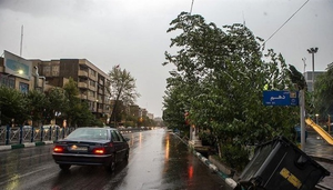 تندباد