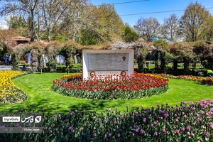 باغ گل‌های لاله چمران از جاذبه‌های شگفت‌انگیز در فصل بهار است که معمولا از فروردین هرسال آغاز و تا نیمه‌های اردیبهشت ادامه دارد.