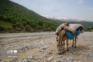 طبیعت بهاری «بازفت»