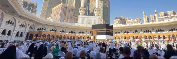 تصویر سربرگ نمایه‌ی ‌مریم سادات آجودانی‌