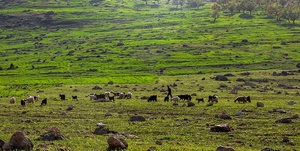 طبیعت بهاری «بازفت»