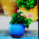 تصویر نمایه‌ی ‌سعیده کرامتی‌