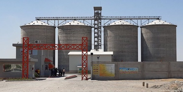 سیلوی گندم