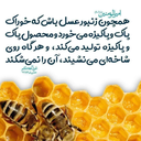 تصویر نمایه‌ی ‌sadid jehad‌