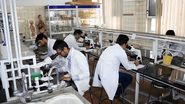 هوش پژوهشی
