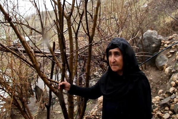 هدیه کرمی