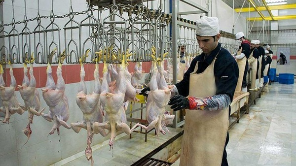 کشتارگاه مرغ،‌گوشت مرغ