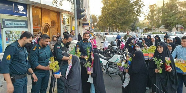 سیاسی 