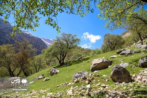 روز طبیعت در آبشار «دره عشق»