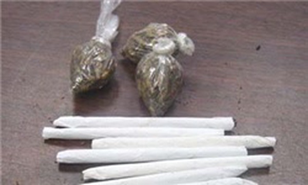 حشیش