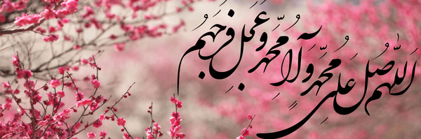 تصویر سربرگ نمایه‌ی ‌محمد مهدی محلوجی‌