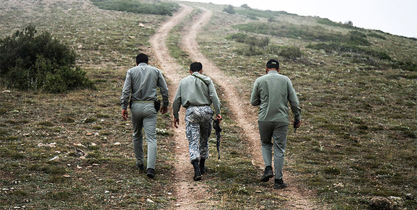 محیط بان