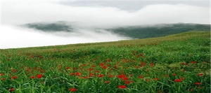طبیعت ارسباران