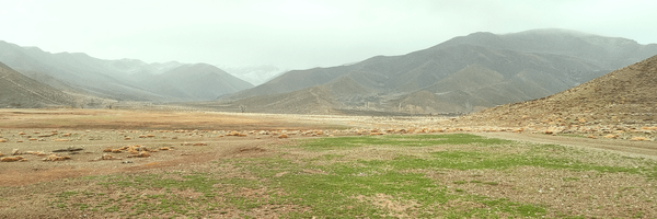 تصویر سربرگ نمایه‌ی ‌سید ابوالحسن حسینی ایوری‌