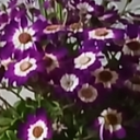 تصویر نمایه‌ی ‌باران صادقی‌