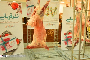 توزیع 2 هزار بسته گوشت قربانی