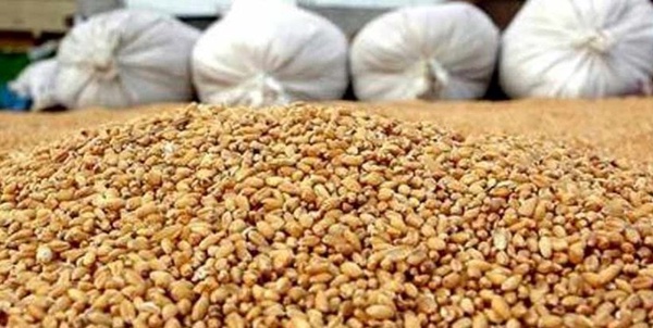 نهاده دامی