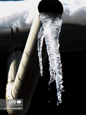 "یخ لوله " یا قندیل 