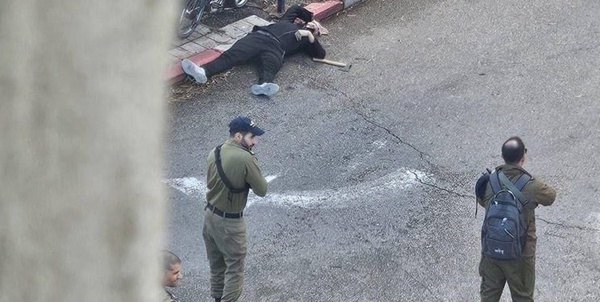 حیفا