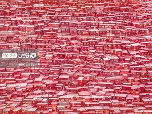 برگزیده بخش سفر