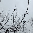 تصویر نمایه‌ی ‌موقعیت مقداد‌