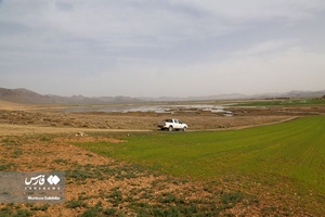 زندگیِ دوباره «دِهنو»